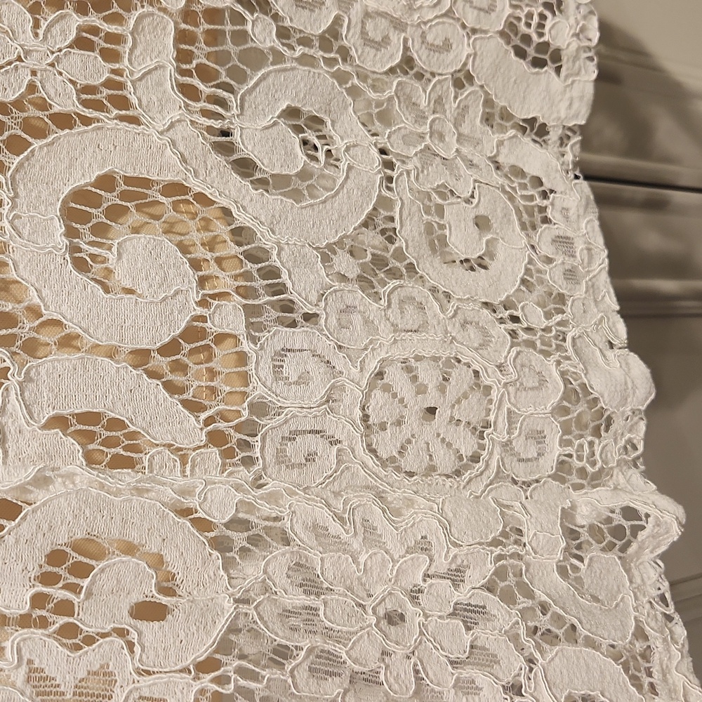 *SOLD* NWT TASH + SOPHIE | Lace Cutout Dress - Picture 4 of 6